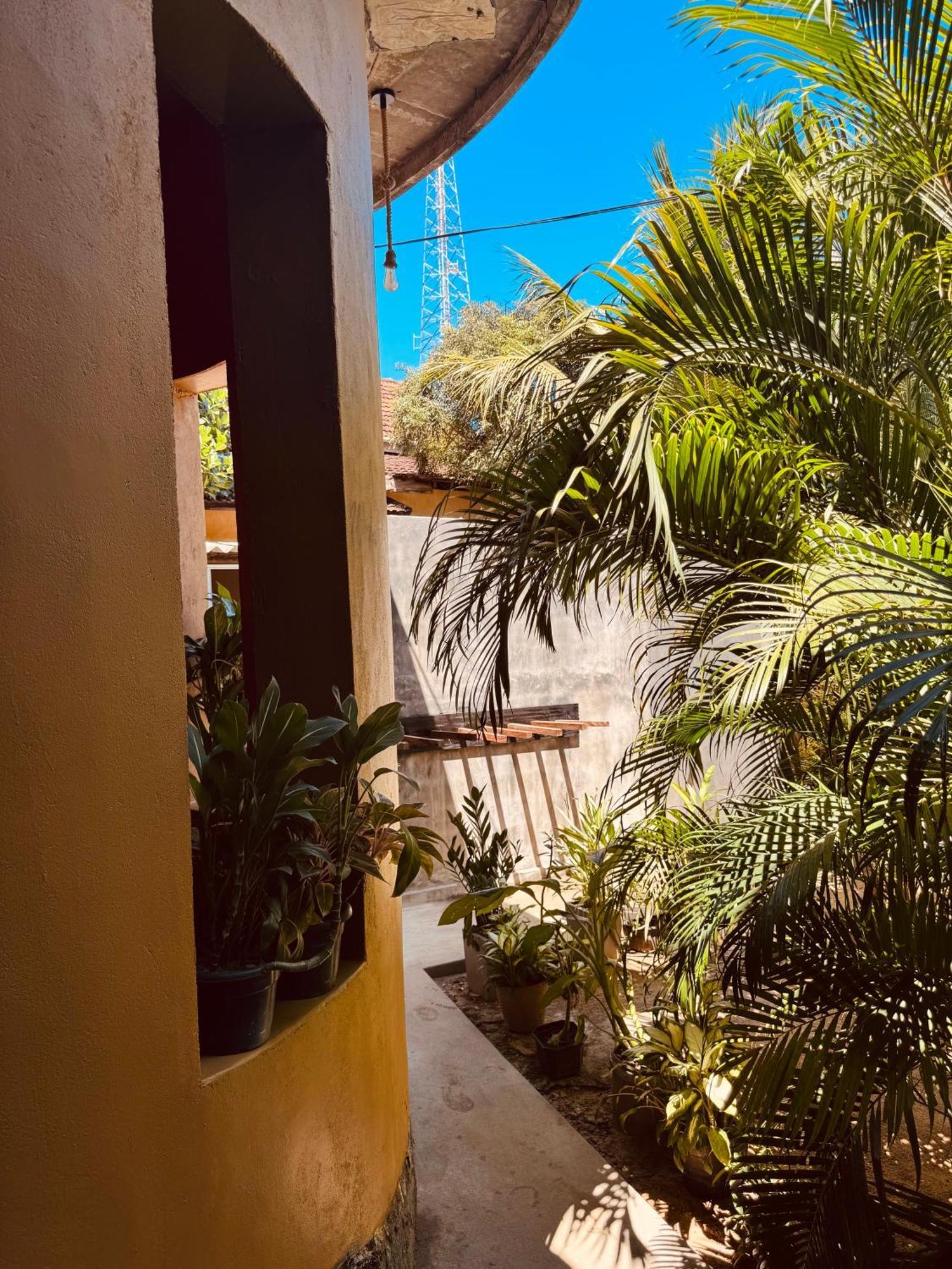 Dreamy Hostel Arugambay Arugam Bay Buitenkant foto